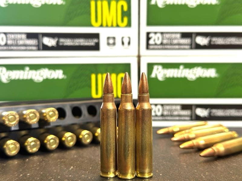 Remington .223 55gr (20rds)